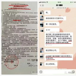 從云端到電話線 空姐轉行票務代理的職場轉型之路